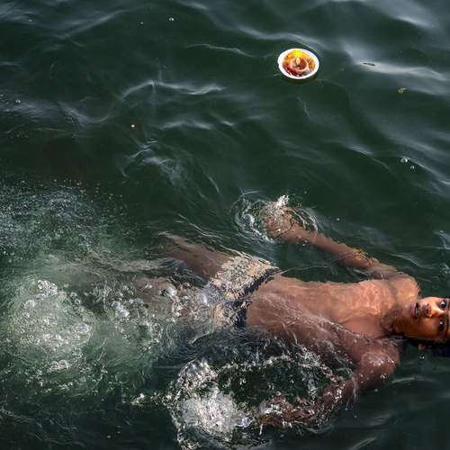 Photo #13733266