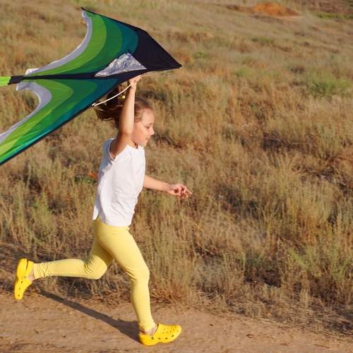 Photo #13733268