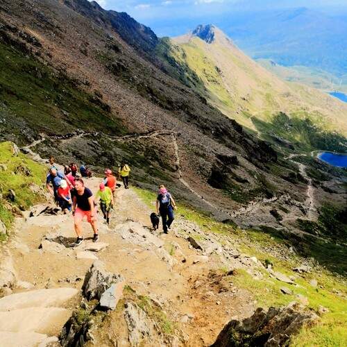 Photo #13733286