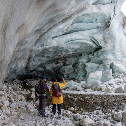 Photo #13733310