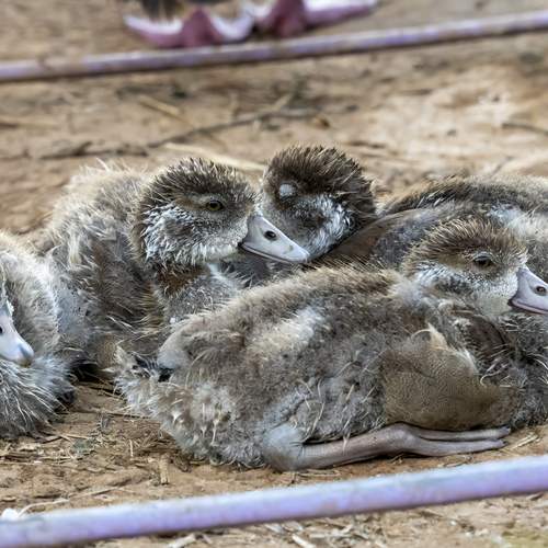 Photo #13733319