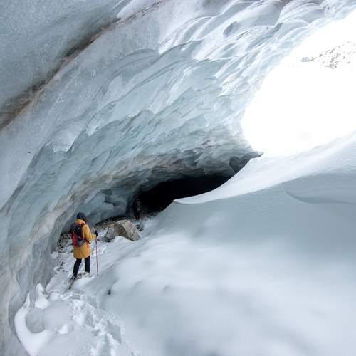 Photo #13733337