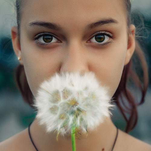 Photo #13733355