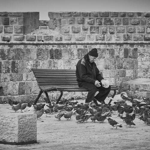 Photo #13733462