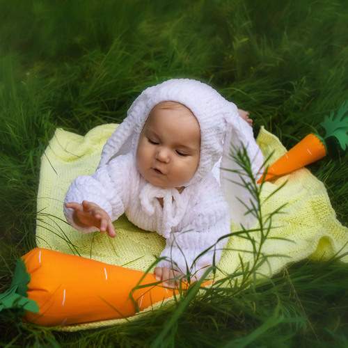 Photo #13733467