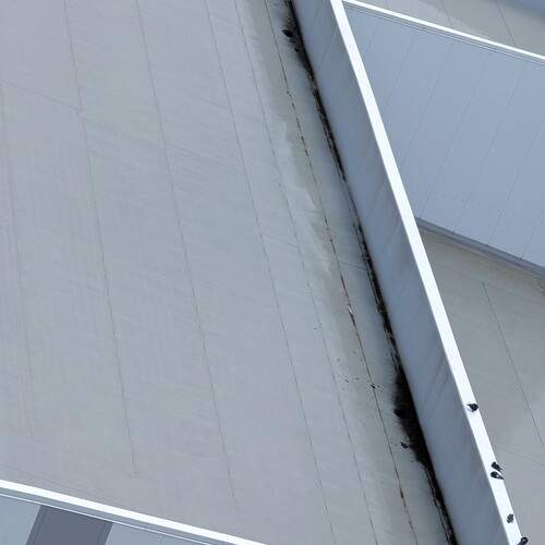 Photo #13733474