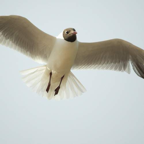 Photo #13733481