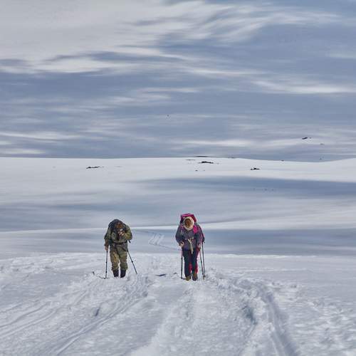 Photo #13733537