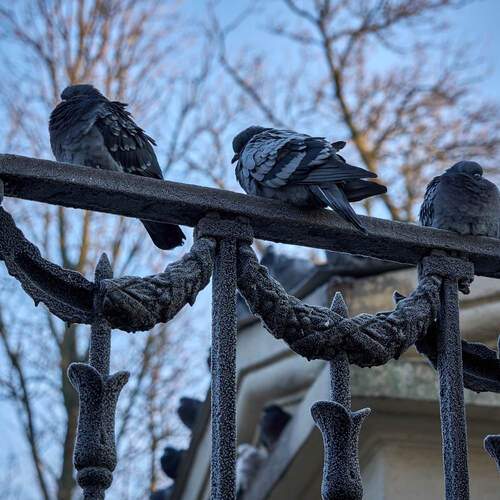 Photo #13733560