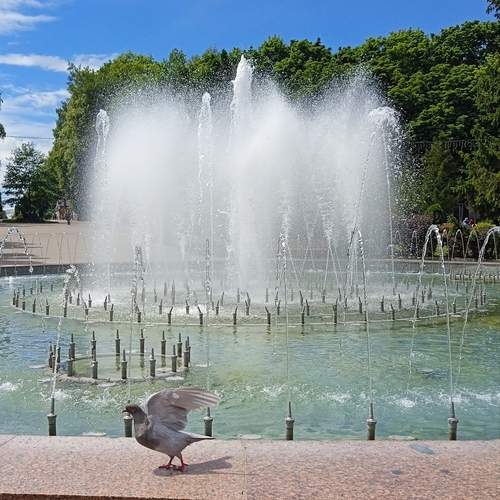 Photo #13733571