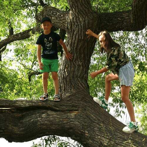 Photo #13733597