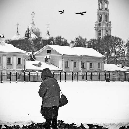 Photo #13733610