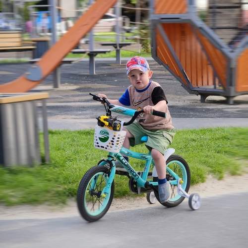 Photo #13733613