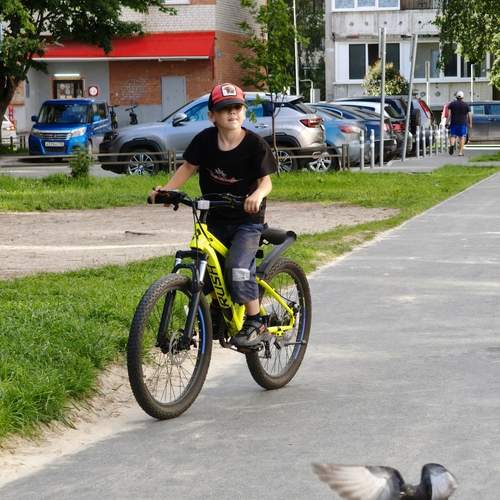 Photo #13733619