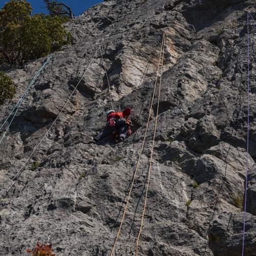 Photo #13733632