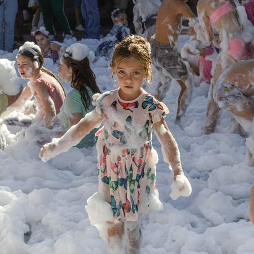 Photo #13733646