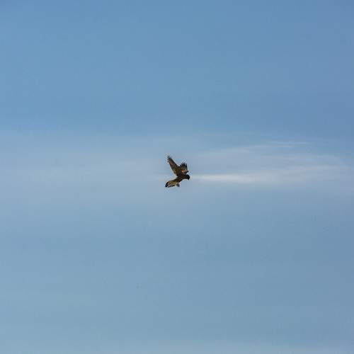 Photo #13733663
