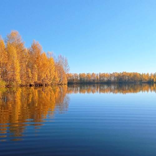 Photo #13733679