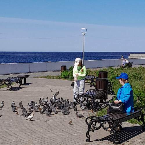Photo #13733750