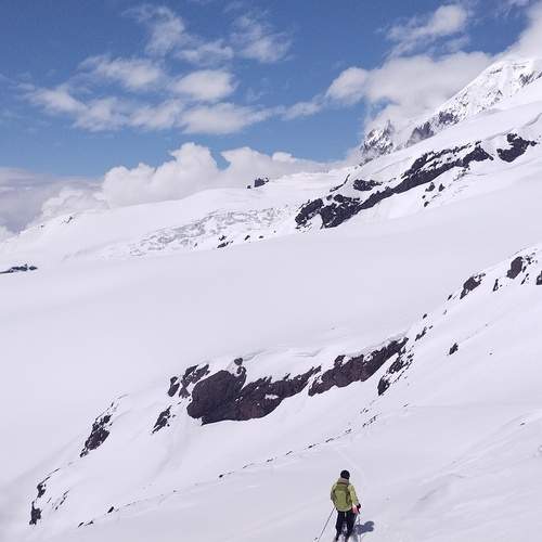 Photo #13733769