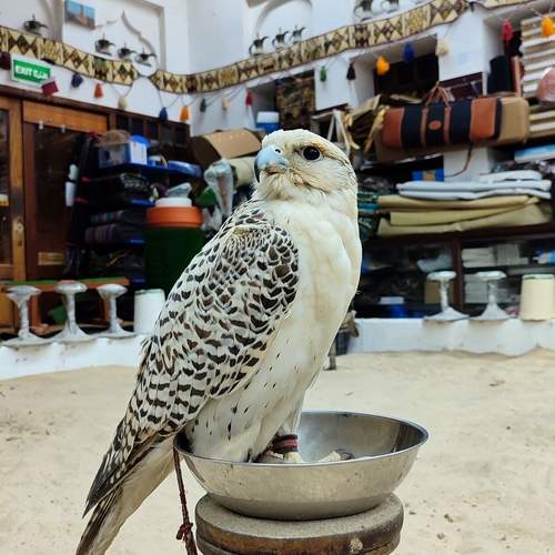 Photo #13733789