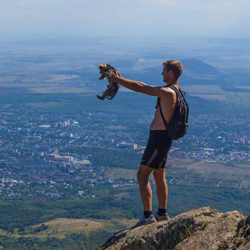 Photo #13733813