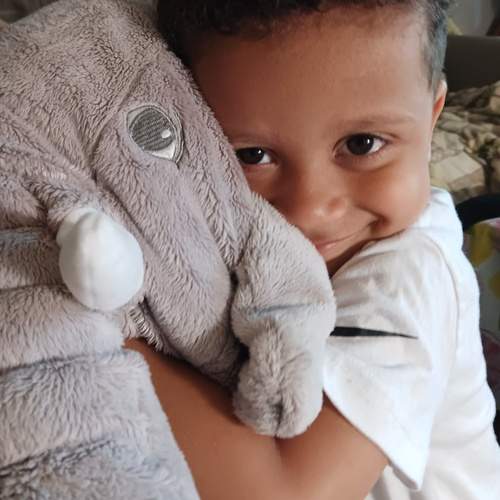 Photo #13733827