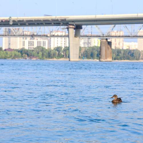 Photo #13733876