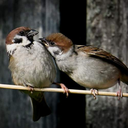 Photo #13733897