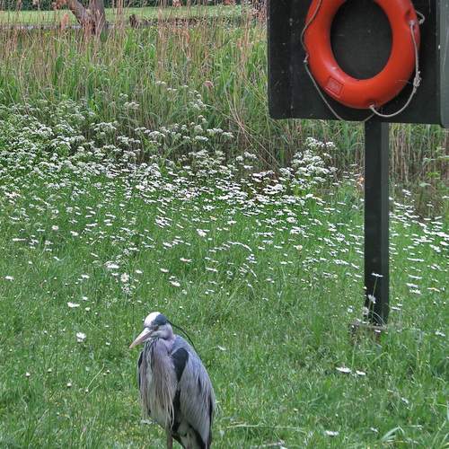 Photo #13733910