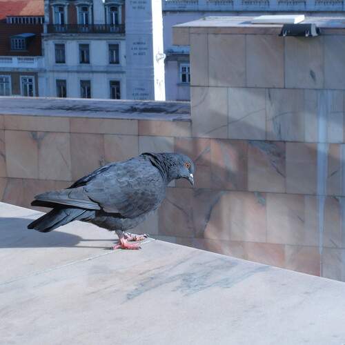 Photo #13733911