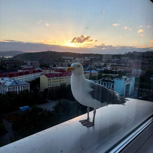 Photo #13733931