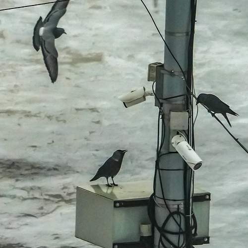 Photo #13734131