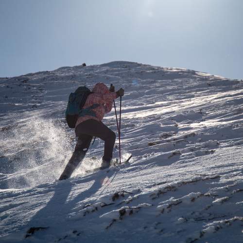 Photo #13734142
