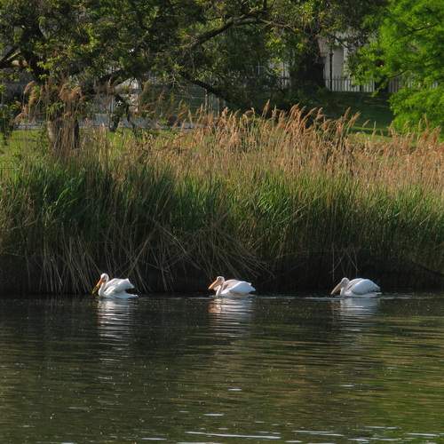 Photo #13734179