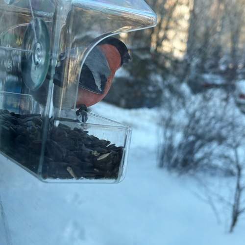 Photo #13734192