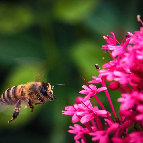 Photo #13734247