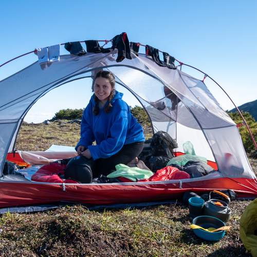 Photo #13734287