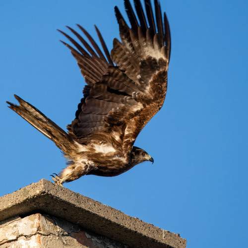 Photo #13734301