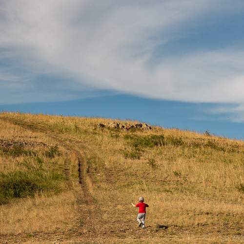Photo #13734335