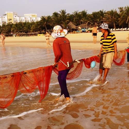 Photo #13734387