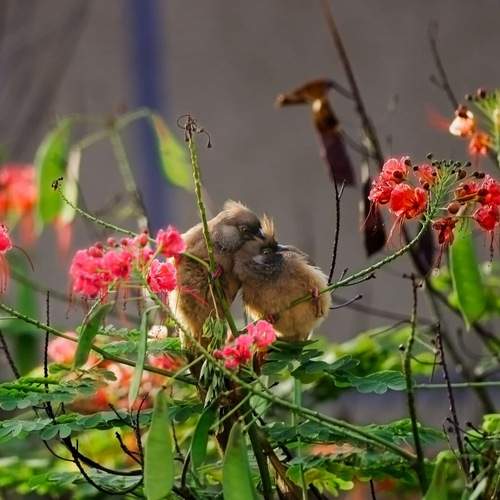 Photo #13734438