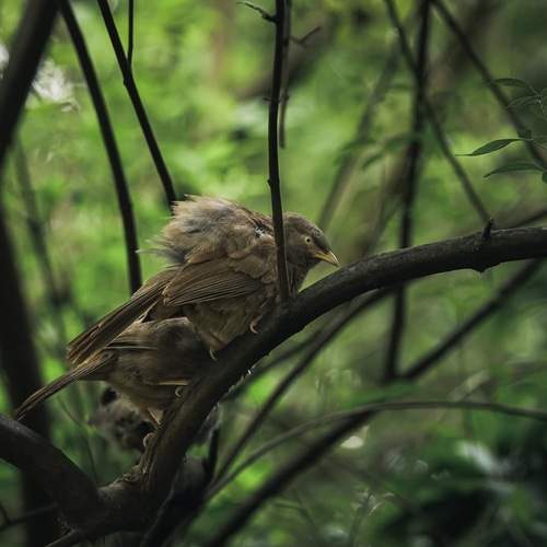 Photo #13734441