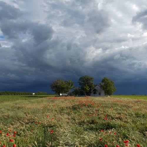Photo #13734473