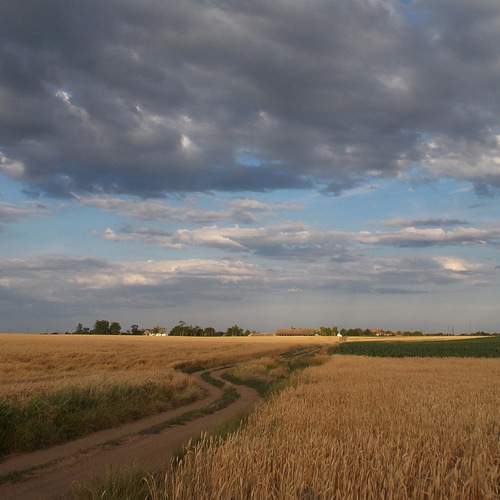 Photo #13734474