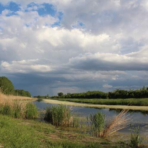 Photo #13734497