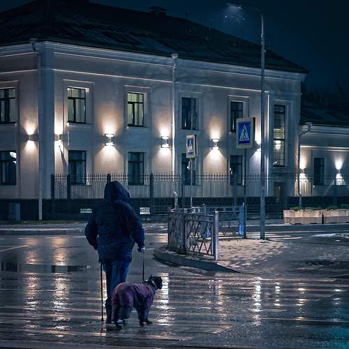 Photo #13734535