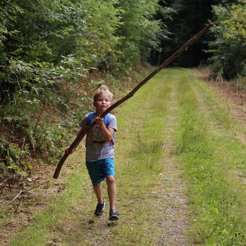A beautiful medium landscape photograph showing a happy young boy running along a green forest path while holding a long wooden branch stick