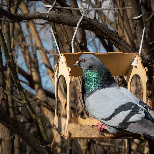 Photo #13734581
