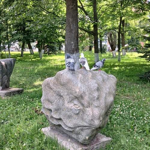 Photo #13734606